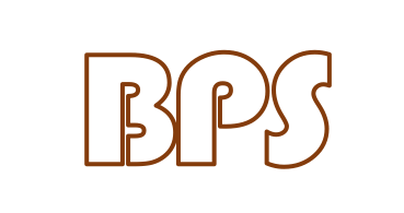 B P (SYSTEMS) ENGINEERING PTE LTD